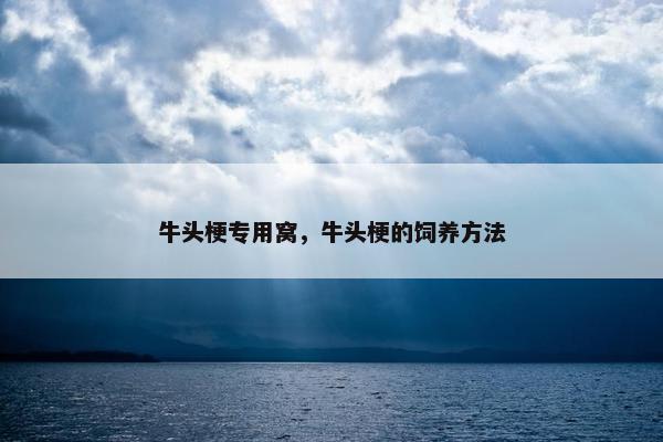 牛头梗专用窝，牛头梗的饲养方法