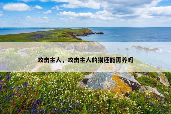 攻击主人，攻击主人的猫还能再养吗