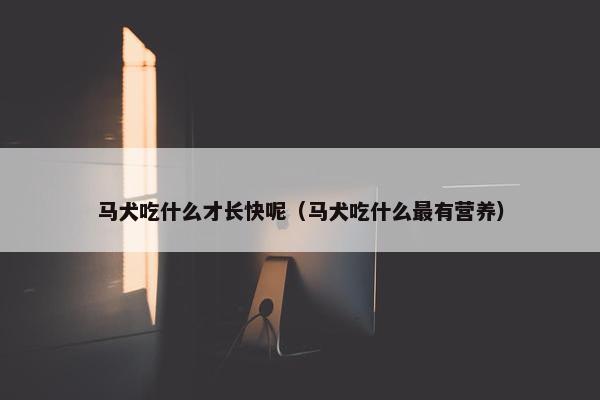 马犬吃什么才长快呢（马犬吃什么最有营养）