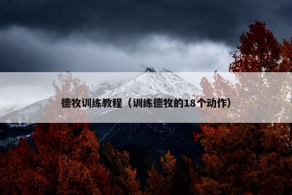 德牧训练教程（训练德牧的18个动作）