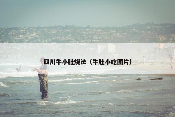 四川牛小肚烧法（牛肚小吃图片）