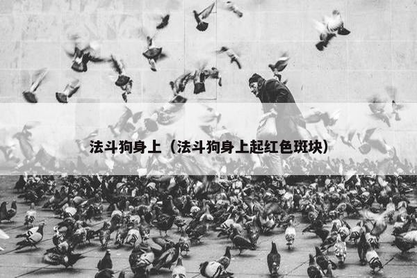 法斗狗身上（法斗狗身上起红色斑块）