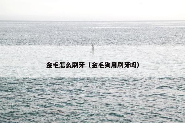 金毛怎么刷牙（金毛狗用刷牙吗）