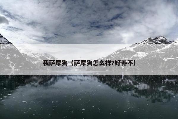 我萨摩狗（萨摩狗怎么样?好养不）