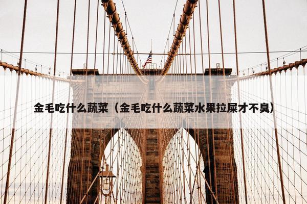 金毛吃什么蔬菜（金毛吃什么蔬菜水果拉屎才不臭）