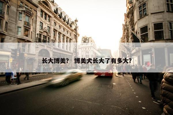长大博美？ 博美犬长大了有多大？