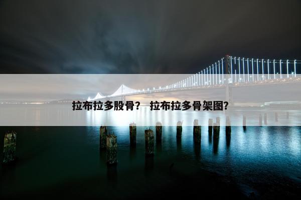 拉布拉多股骨？ 拉布拉多骨架图？