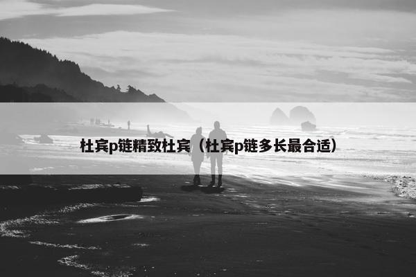 杜宾p链精致杜宾（杜宾p链多长最合适）