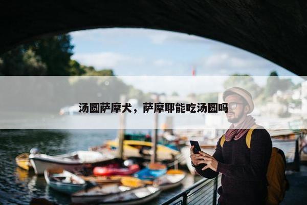 汤圆萨摩犬，萨摩耶能吃汤圆吗