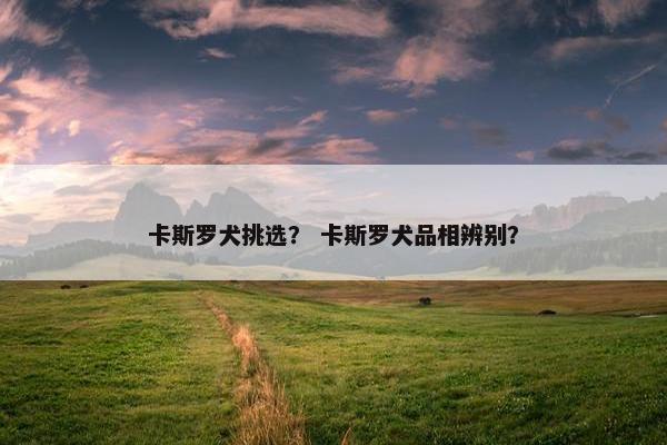 卡斯罗犬挑选？ 卡斯罗犬品相辨别？