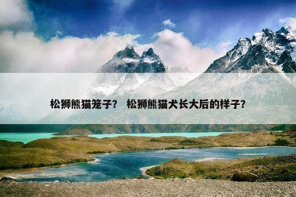 松狮熊猫笼子？ 松狮熊猫犬长大后的样子？