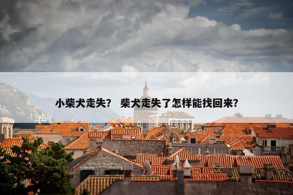 小柴犬走失？ 柴犬走失了怎样能找回来？