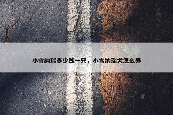 小雪纳瑞多少钱一只，小雪纳瑞犬怎么养