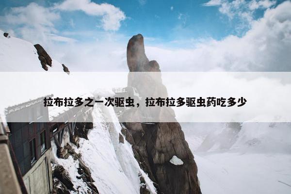 拉布拉多之一次驱虫，拉布拉多驱虫药吃多少