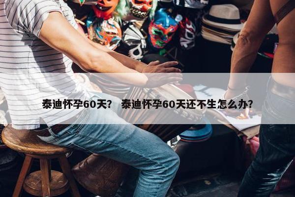泰迪怀孕60天？ 泰迪怀孕60天还不生怎么办？