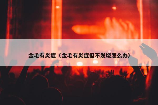 金毛有炎症（金毛有炎症但不发烧怎么办）
