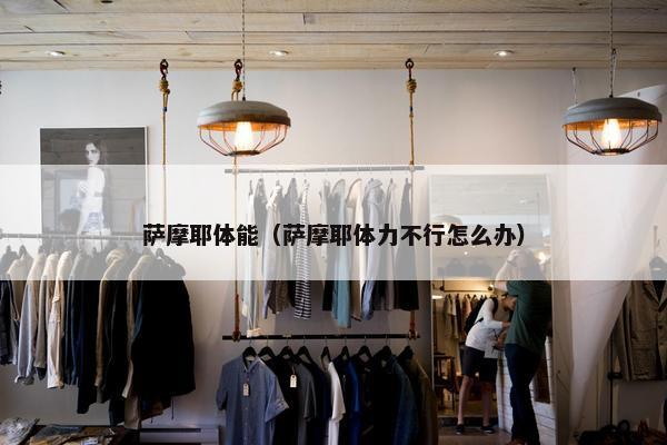 萨摩耶体能（萨摩耶体力不行怎么办）