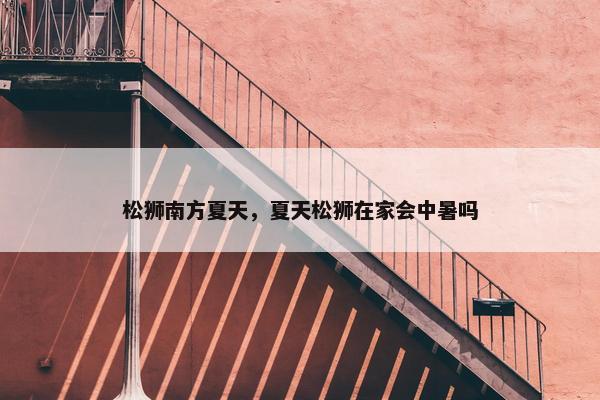松狮南方夏天，夏天松狮在家会中暑吗