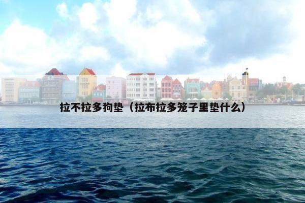 拉不拉多狗垫（拉布拉多笼子里垫什么）