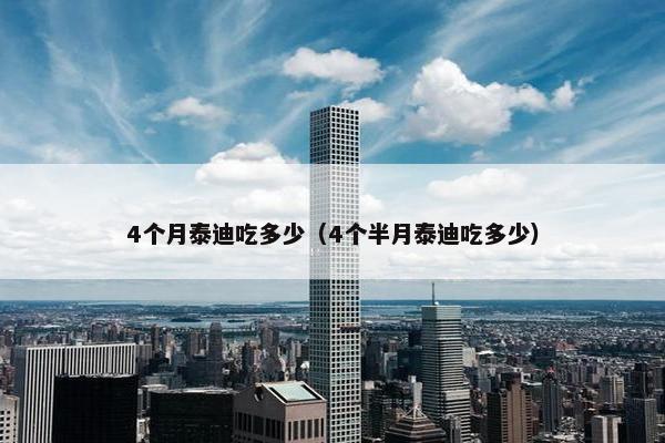 4个月泰迪吃多少（4个半月泰迪吃多少）