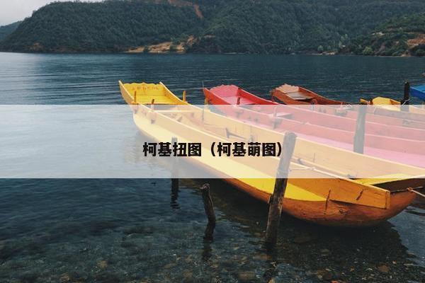 柯基扭图（柯基萌图）