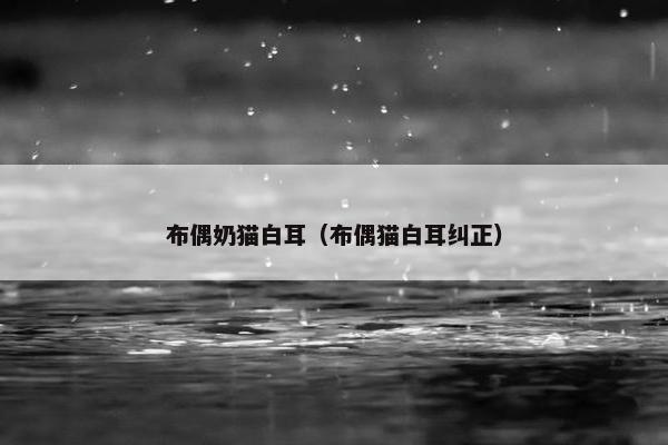 布偶奶猫白耳（布偶猫白耳纠正）