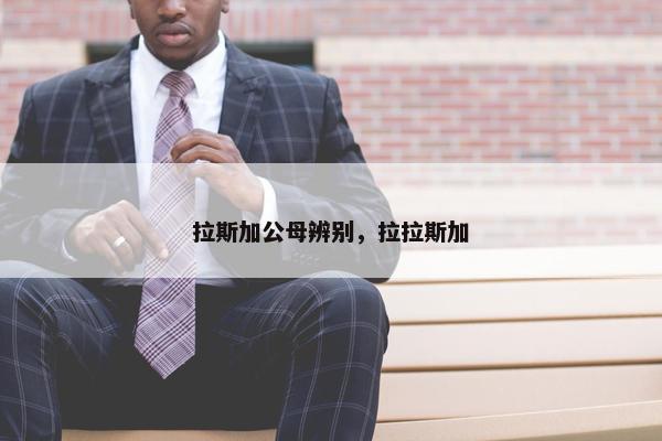 拉斯加公母辨别，拉拉斯加