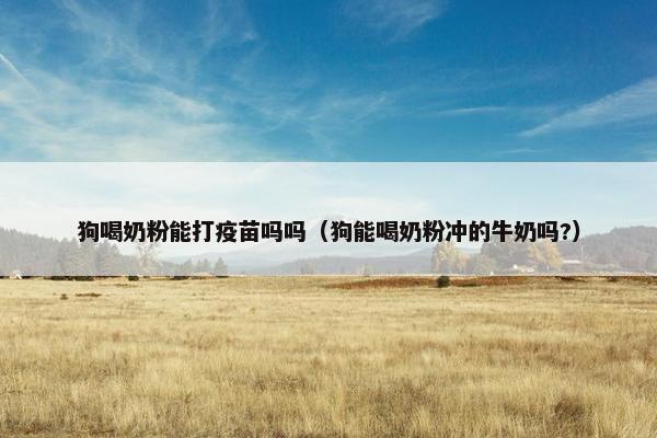 狗喝奶粉能打疫苗吗吗（狗能喝奶粉冲的牛奶吗?）