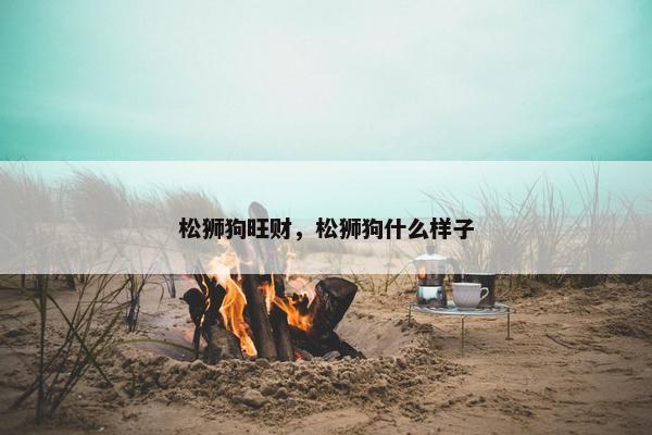 松狮狗旺财，松狮狗什么样子