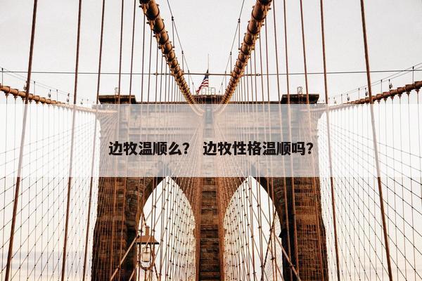 边牧温顺么？ 边牧性格温顺吗？