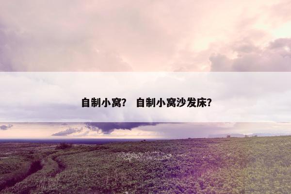 自制小窝？ 自制小窝沙发床？
