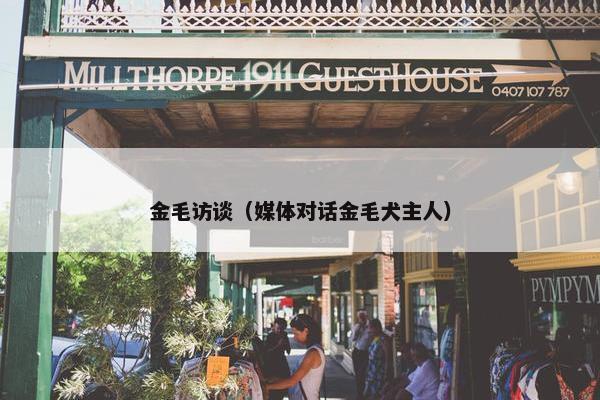 金毛访谈（媒体对话金毛犬主人）