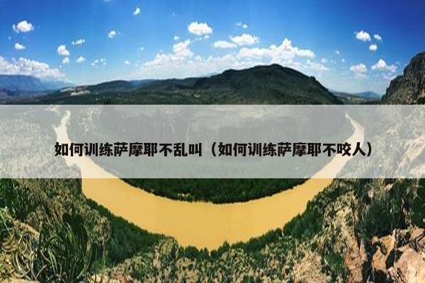 如何训练萨摩耶不乱叫（如何训练萨摩耶不咬人）