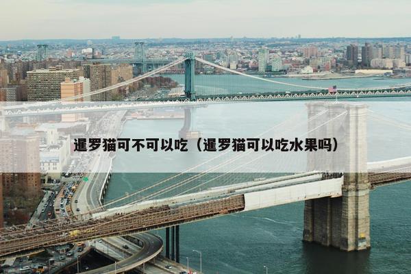 暹罗猫可不可以吃（暹罗猫可以吃水果吗）