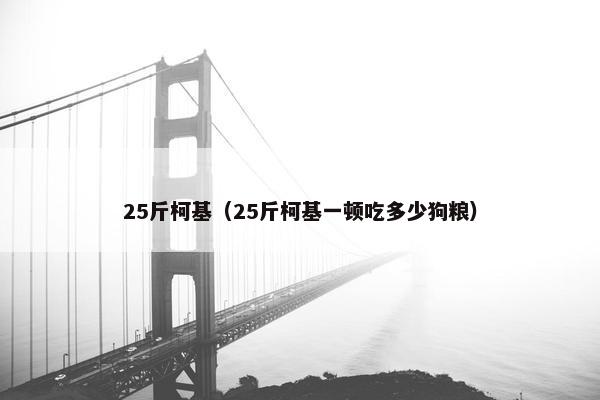 25斤柯基（25斤柯基一顿吃多少狗粮）