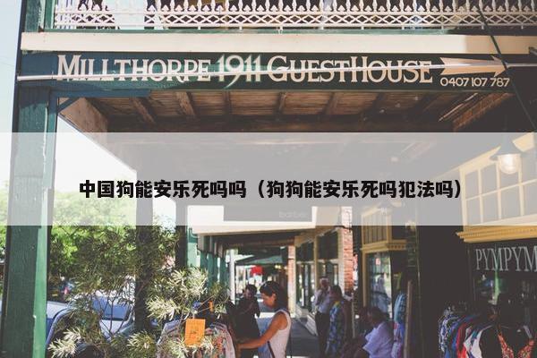 中国狗能安乐死吗吗（狗狗能安乐死吗犯法吗）