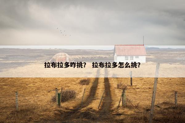拉布拉多咋挑？ 拉布拉多怎么挑？