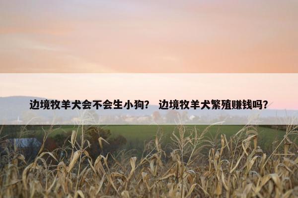 边境牧羊犬会不会生小狗？ 边境牧羊犬繁殖赚钱吗？