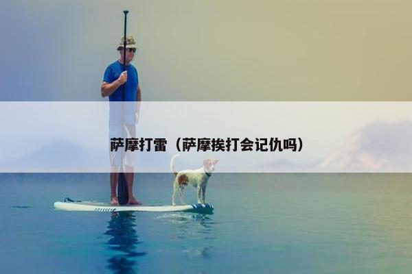 萨摩打雷（萨摩挨打会记仇吗）
