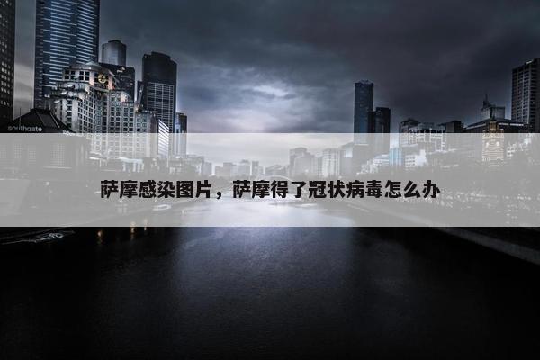 萨摩感染图片，萨摩得了冠状病毒怎么办